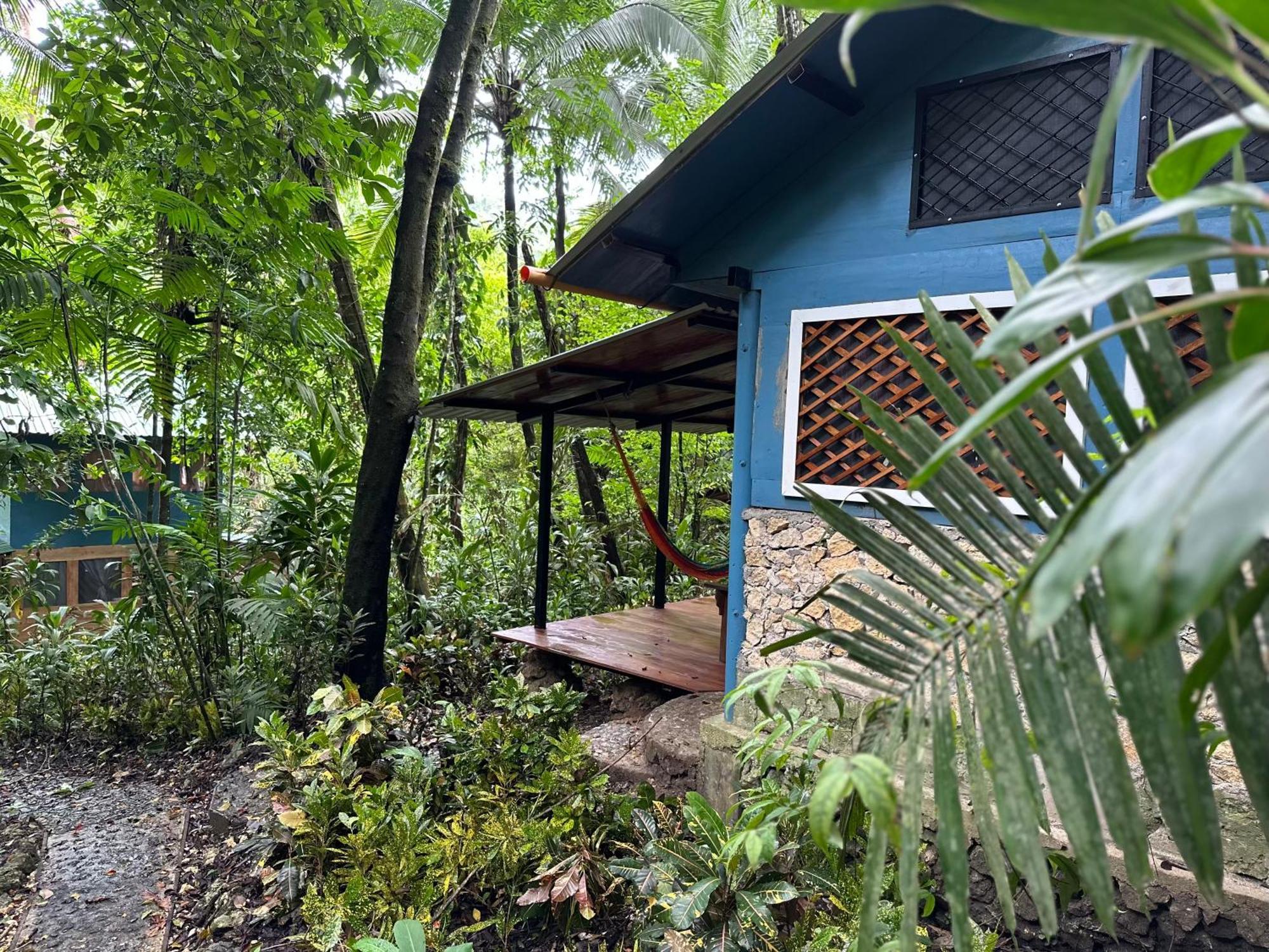 Izabal Finca Tatin Hotel מראה חיצוני תמונה